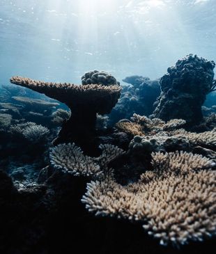 The hottest openings and travel news you missed in the Pacific Islands