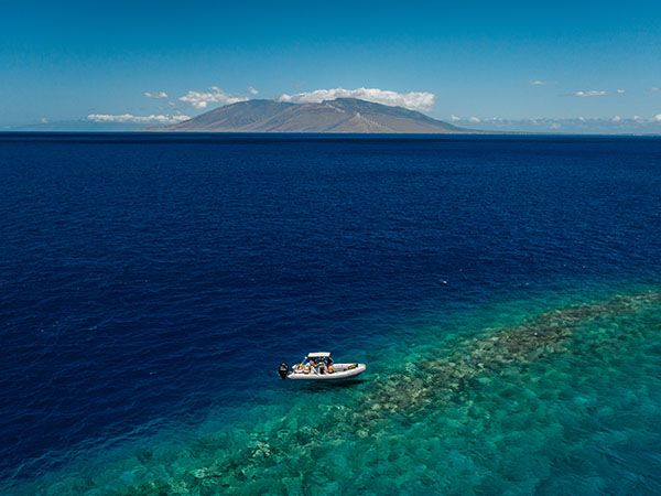 Olowalu Reef marine reserve, Maui, Hawaii USA