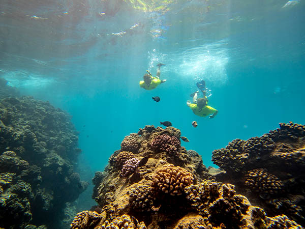 Snorkeling, Maui, Hawaii USA