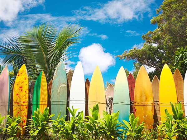Maui, Surfing, Hawaiian Island USA