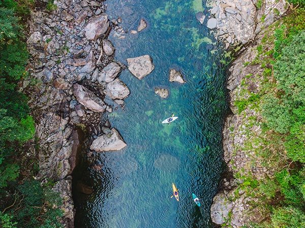 Yakushima, Kyushu, Japan