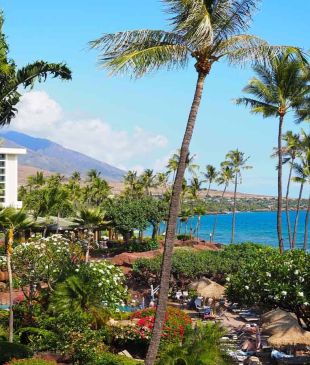 The very best of Maui for families