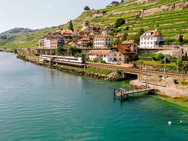 Aerial view showing vineyards, Saint Saphorin village, Switzerland