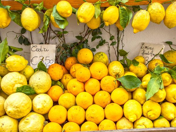 Lemons in the Amalfi Coast