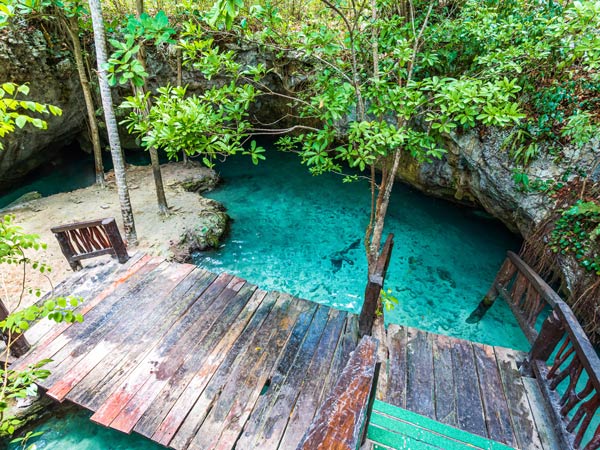 Gran Cenote is one of the most famous cenotes in Mexico, Tulum, Riviera Maya.