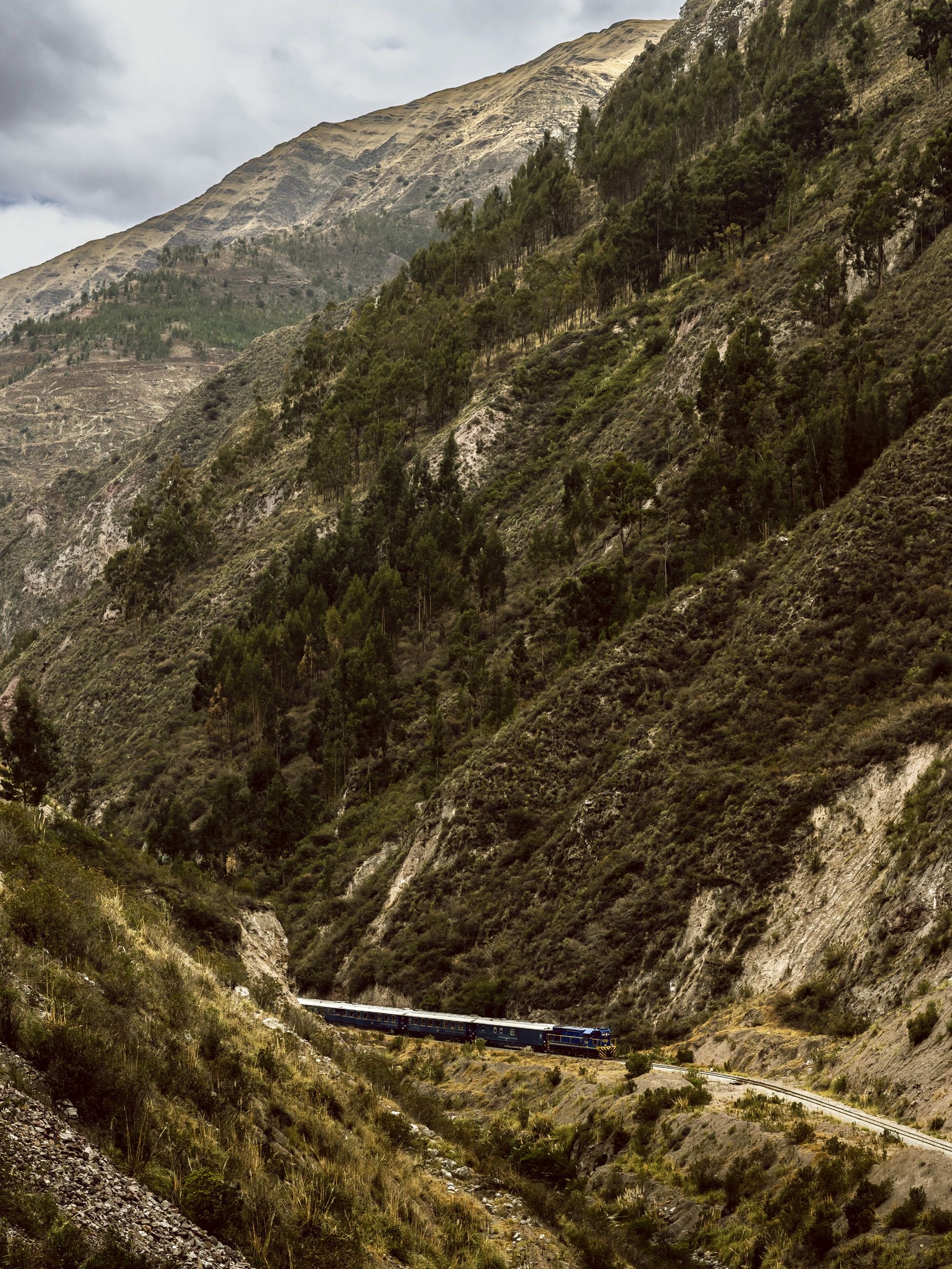 Hiram Bingham, a Belmond Train