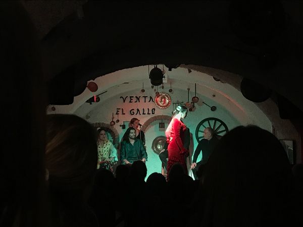 Flamenco show at Venta El Gallo. (Image: Emily Murphy)