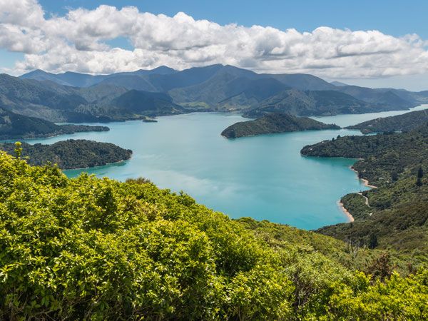 Aerial view of the Marlborough Sounds in New Zealand