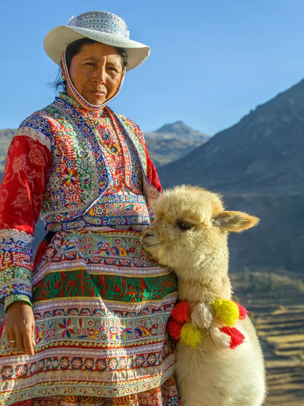 A Peruvian woman and a baby llama