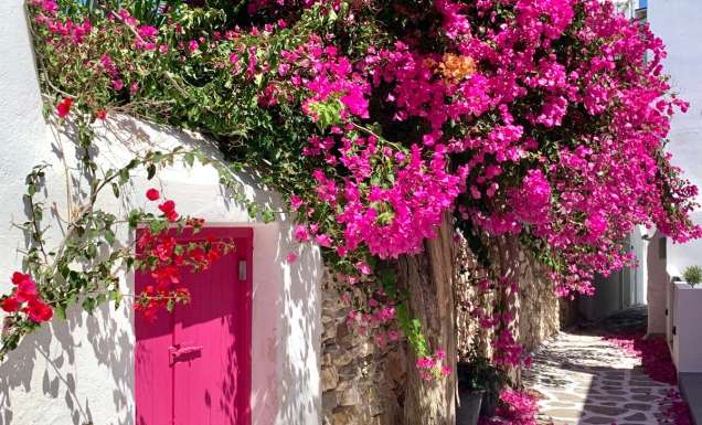 Santorini Greece