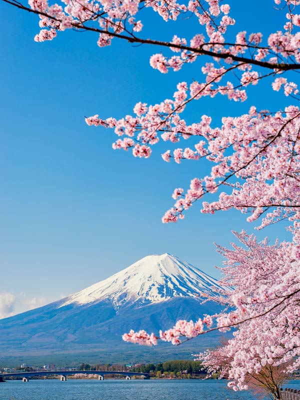 Mt Fuji in Japan.