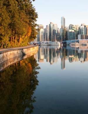 A section of Stanley Park in Vancouver City, Canada