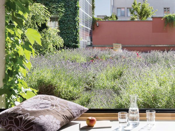 eco-friendly accommodation at Boutiquehotel Stadthalle