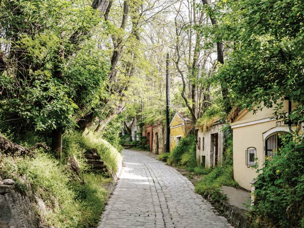 old wine village in Stammersdorf
