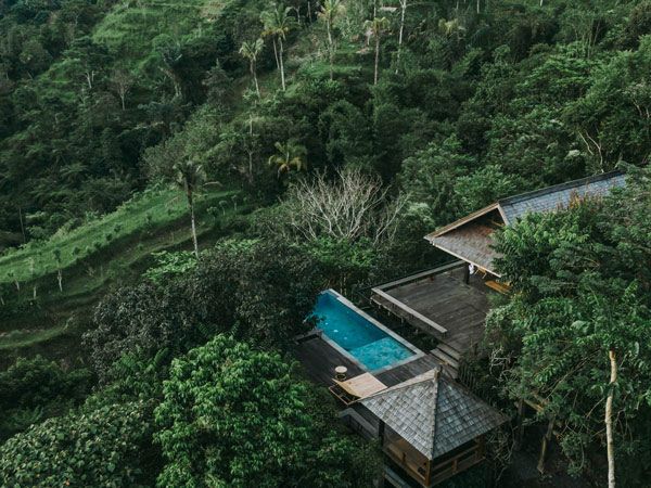 Riverside jungle pool bale