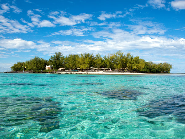 An island with white sand and trees in the middle of the ocean.