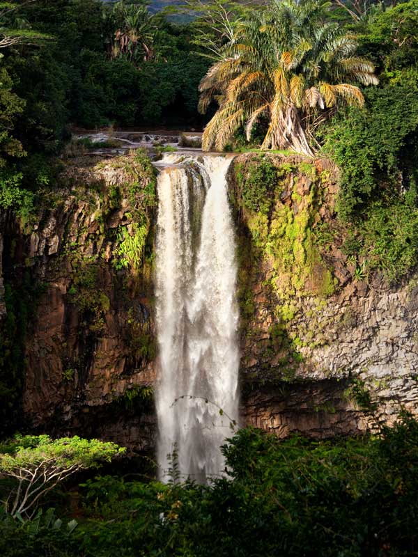 A waterfall in nature.