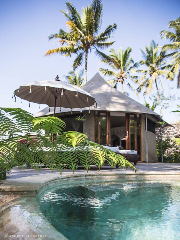 Glamping tent overlooking a pool in Bali. 