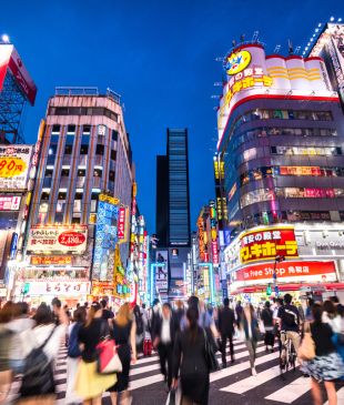 Golden Gai, Ghibli and ramen hotspots: Incredible things to do in Tokyo