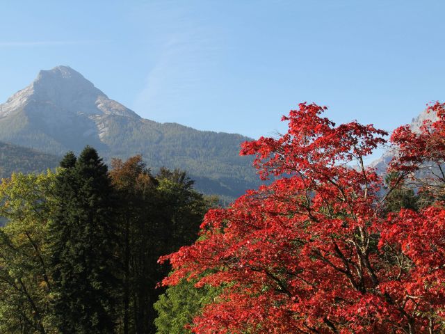 Mt Takao in Hachioji, Japan