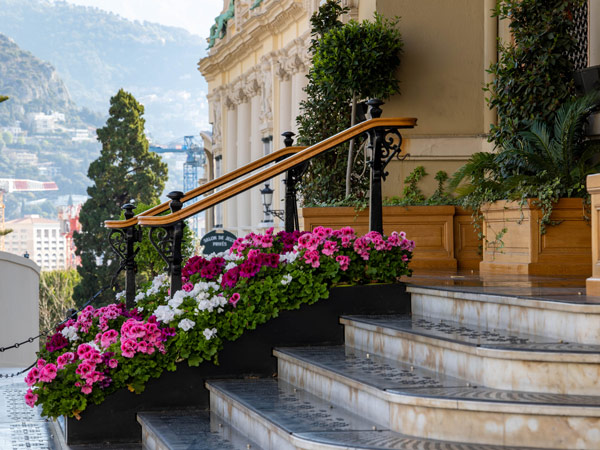 a staircase with pink flowers in one of the building in Monaco