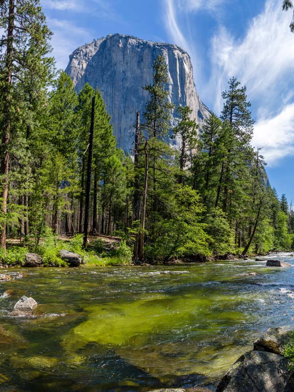 Merced River and El Capitan from Southside Drive in Yosemite Valley, Yosemite National Park, Sierra Nevada, California, USA