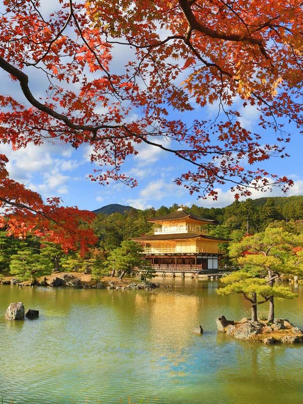 distant view of Kinkaku-ji Temple with colored tree leaves on the background