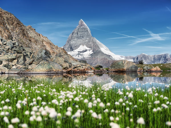 beautiful lake with grassland and flowers in Matterhon