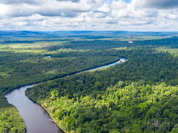 an aerial view of the Lower-Kinabatangan Wildlife Sanctuary with the Kinabatangan River winding through it