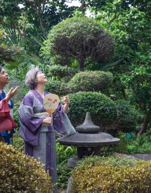 guests wearing Japanese kimono at Hagi homestay