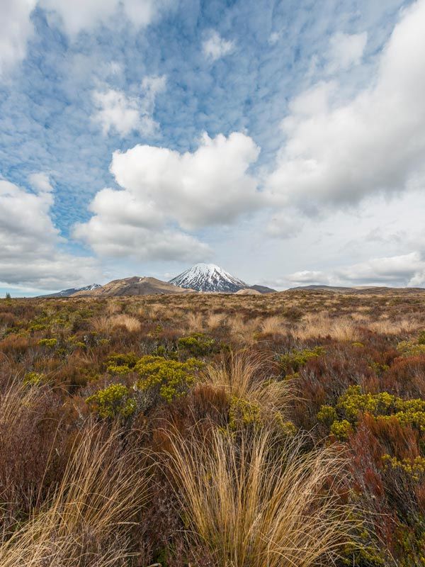 Volcano Mount Tongariro and Mount Ngauruhoe, Tongariro National Park, Southland, New Zealand