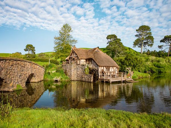 Hobbiton Airbnb Millouse