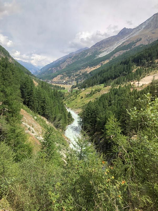 lush greenery at the Zermatt region, Switzerland