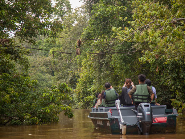 monkey-spotting while cruising the river.