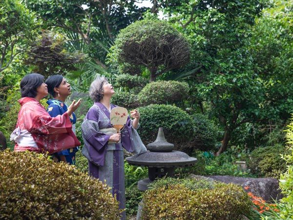 guests wearing traditional kimonos