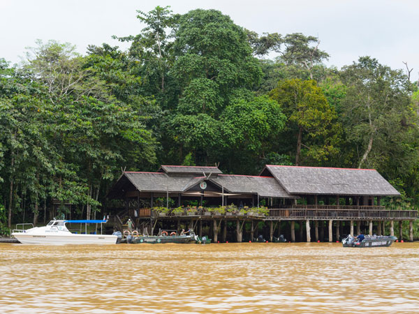 view of the Sukau Rainforest Lodge on the Kinabatangan River
