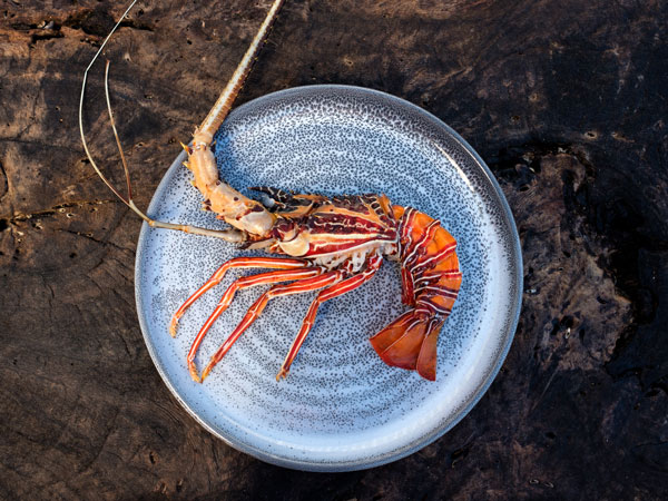 fresh seafood on a plate