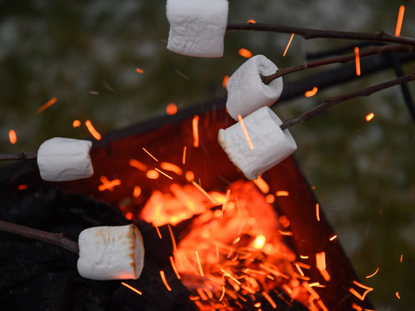 Toasting marshmallows