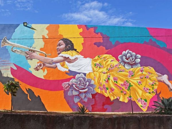 a wall painting of a girl with echeveria laui succulent on a colourful background