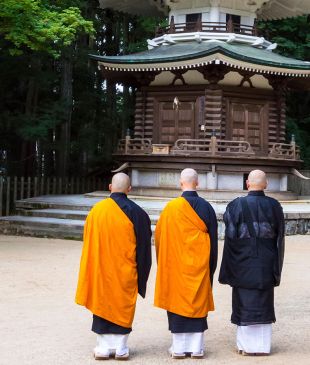 7 unique adventures to have in Japan