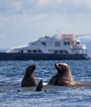 <p><i>We found the perfect</i> <strong>Alaskan</strong> cruise for people who thought they never would</p>