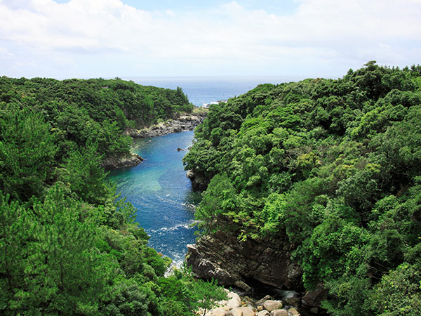Kurio River, Yakushima Island