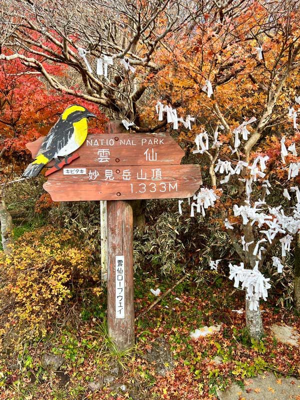 fortunes drifting at Nita Pass, Kyushu, Japan