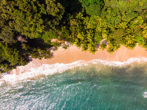 an aerial view of Arboretum Raponda Beach in Gabon