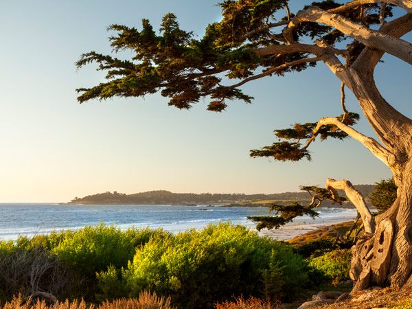 a scenic view of the Pacific Ocean from Carmel By The Sea