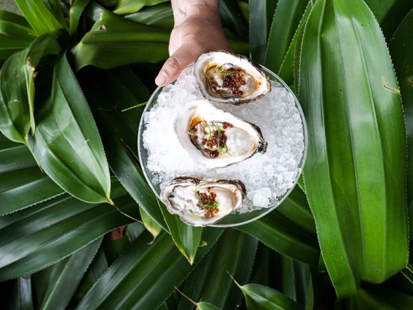 a plate of local seafood at Potato Head hotel, Bali