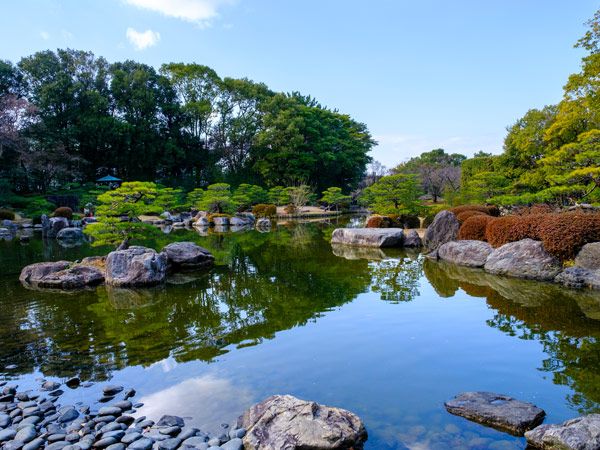 a stream surrounded by lush greenery at Ohori Park Japanese Garden