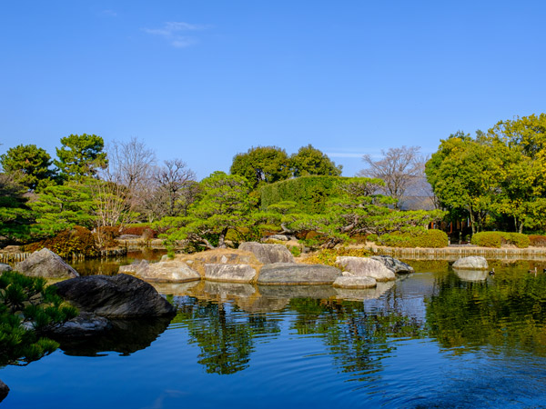 a japanese garden with a trickling stream surrounded by evergreen shrubs at Ohori Park
