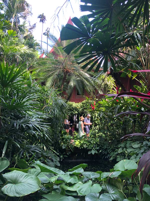 verdant gardens at Jim Thompson House Museum
