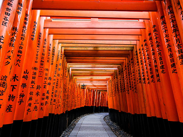 torii gates of the Fushimi Inari Shrine, Kyoto